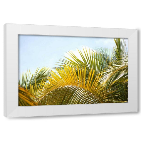Palms at Noon White Modern Wood Framed Art Print by Millet, Karyn