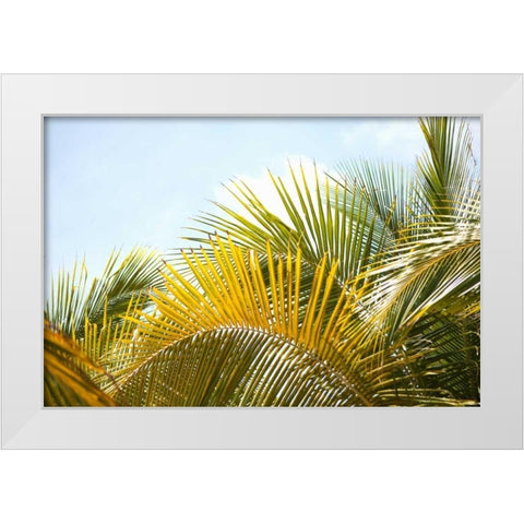 Palms at Noon White Modern Wood Framed Art Print by Millet, Karyn