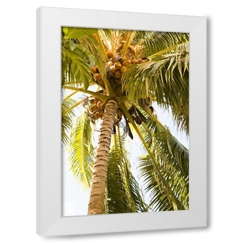 Beach Palm I White Modern Wood Framed Art Print by Millet, Karyn