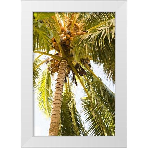 Beach Palm I White Modern Wood Framed Art Print by Millet, Karyn