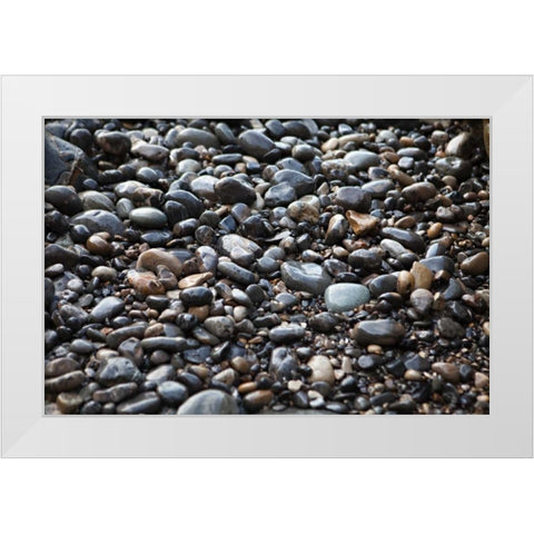 Pebble Patch II White Modern Wood Framed Art Print by Millet, Karyn