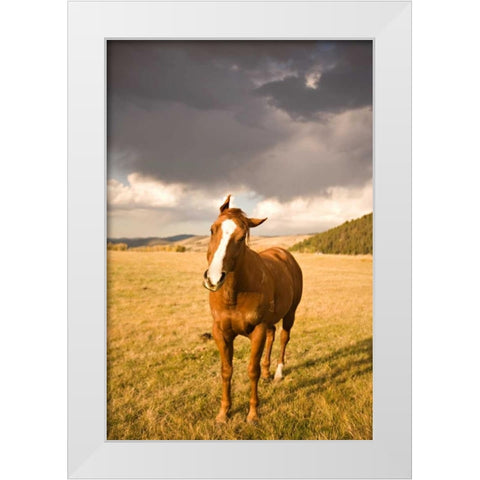 Out in the Pasture I White Modern Wood Framed Art Print by Millet, Karyn