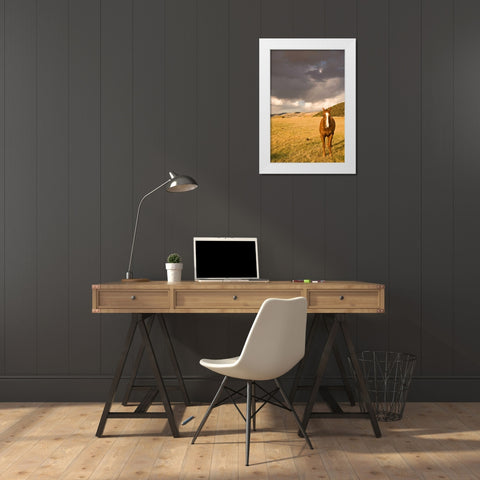 Out in the Pasture II White Modern Wood Framed Art Print by Millet, Karyn