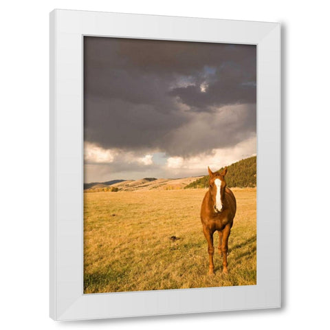 Out in the Pasture II White Modern Wood Framed Art Print by Millet, Karyn