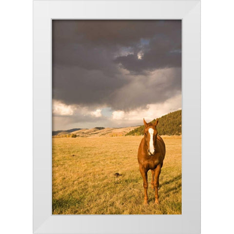 Out in the Pasture II White Modern Wood Framed Art Print by Millet, Karyn