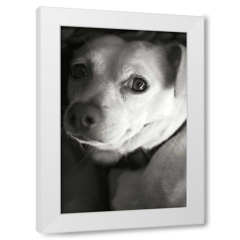 Second Glance White Modern Wood Framed Art Print by Millet, Karyn