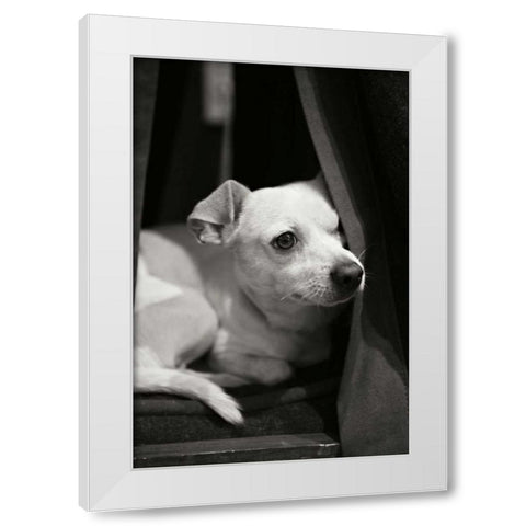 Napping White Modern Wood Framed Art Print by Millet, Karyn