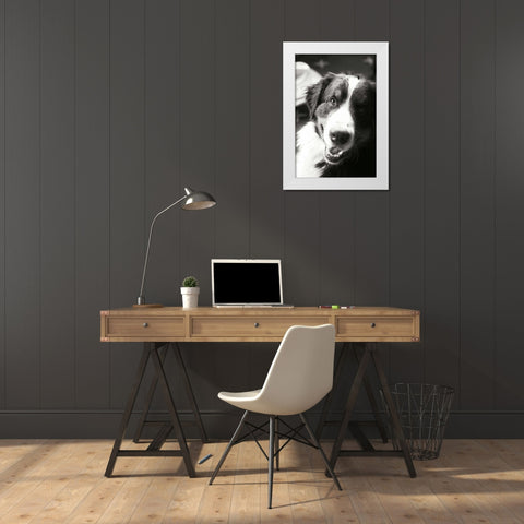 Ranch Dog White Modern Wood Framed Art Print by Millet, Karyn