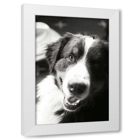 Ranch Dog White Modern Wood Framed Art Print by Millet, Karyn