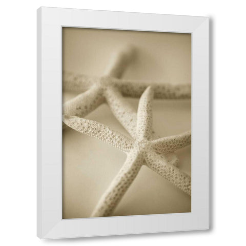 Ocean Treasures V White Modern Wood Framed Art Print by Millet, Karyn