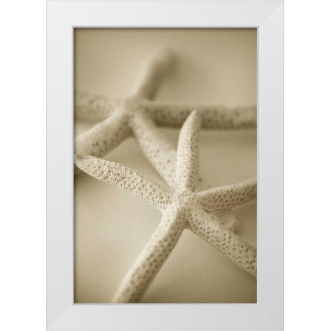Ocean Treasures V White Modern Wood Framed Art Print by Millet, Karyn
