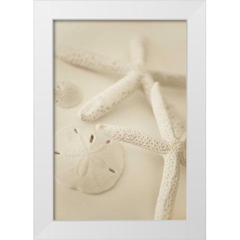 Ocean Treasures VI White Modern Wood Framed Art Print by Millet, Karyn