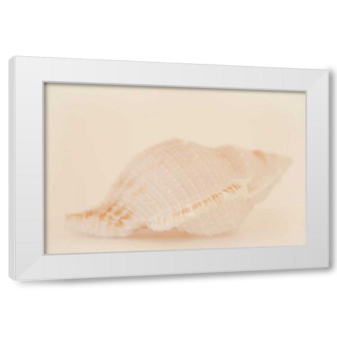 Ocean Treasures VIII White Modern Wood Framed Art Print by Millet, Karyn