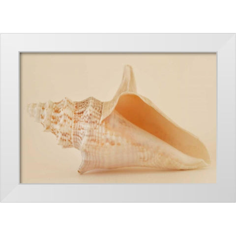 Ocean Treasures IX White Modern Wood Framed Art Print by Millet, Karyn