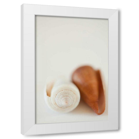 Shell by Shell II White Modern Wood Framed Art Print by Millet, Karyn