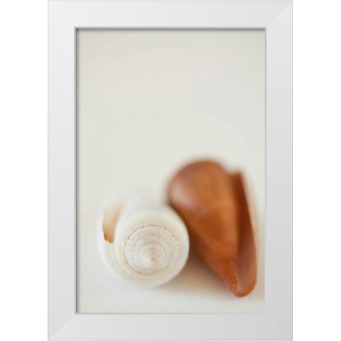 Shell by Shell II White Modern Wood Framed Art Print by Millet, Karyn