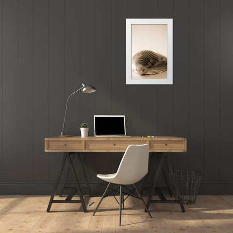 Shell Symmetry I White Modern Wood Framed Art Print by Millet, Karyn