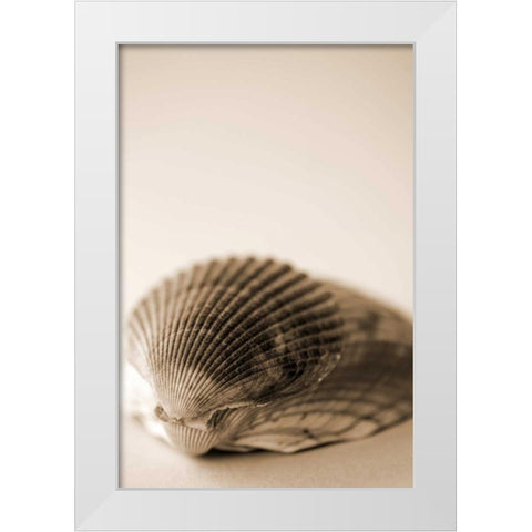 Shell Symmetry I White Modern Wood Framed Art Print by Millet, Karyn