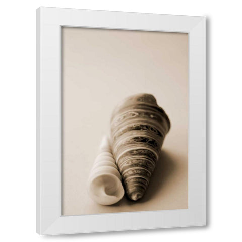 Shell Symmetry II White Modern Wood Framed Art Print by Millet, Karyn