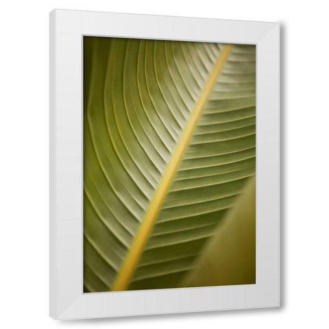 Tropical Leaves II White Modern Wood Framed Art Print by Millet, Karyn