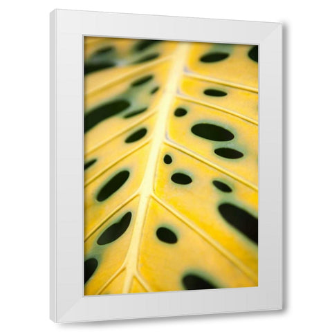 Tropical Leaves III White Modern Wood Framed Art Print by Millet, Karyn