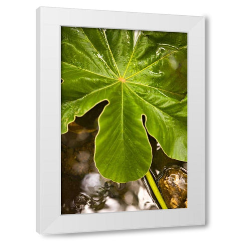 Tropical Leaves IV White Modern Wood Framed Art Print by Millet, Karyn