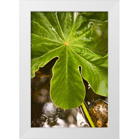 Tropical Leaves IV White Modern Wood Framed Art Print by Millet, Karyn