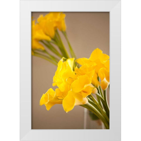 Yellow Calla Lilies White Modern Wood Framed Art Print by Millet, Karyn