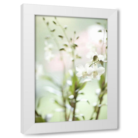 White Orchid I White Modern Wood Framed Art Print by Millet, Karyn