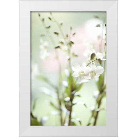 White Orchid I White Modern Wood Framed Art Print by Millet, Karyn