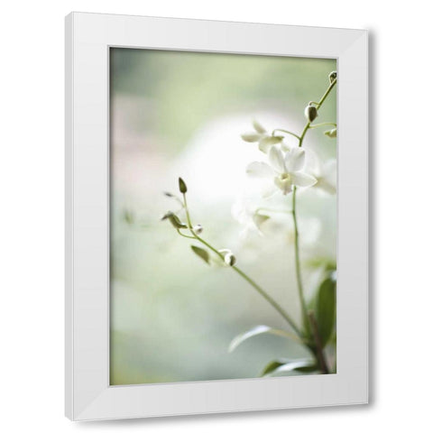 White Orchid II White Modern Wood Framed Art Print by Millet, Karyn