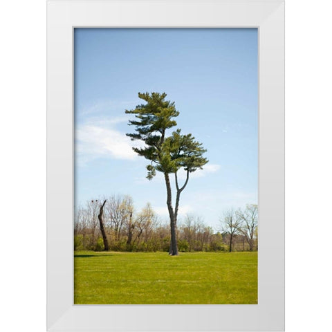 Tree II White Modern Wood Framed Art Print by Millet, Karyn