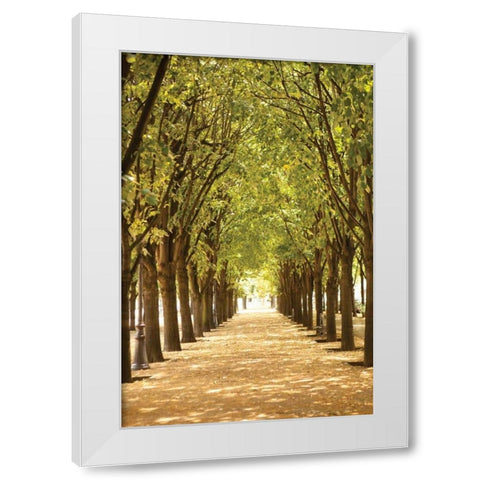 Follow the Path I White Modern Wood Framed Art Print by Millet, Karyn