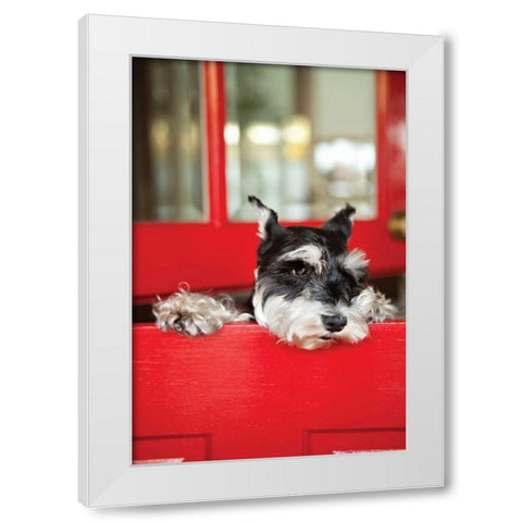 A Dogs Life I White Modern Wood Framed Art Print by Millet, Karyn