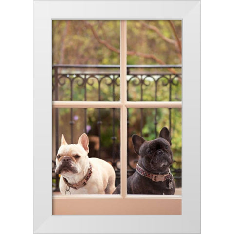A Dogs Life II White Modern Wood Framed Art Print by Millet, Karyn