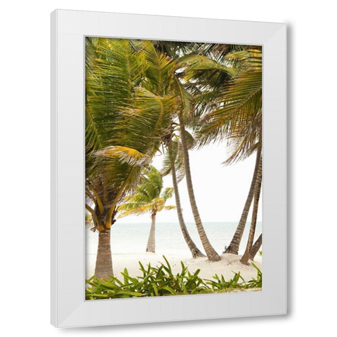 Tropical Oasis II White Modern Wood Framed Art Print by Millet, Karyn