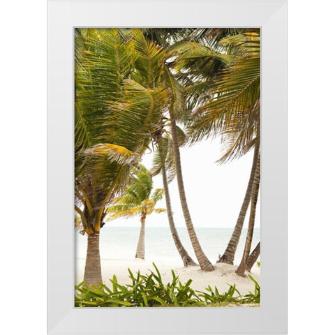 Tropical Oasis II White Modern Wood Framed Art Print by Millet, Karyn