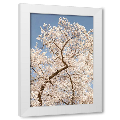In Bloom II White Modern Wood Framed Art Print by Millet, Karyn