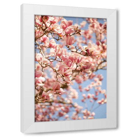 In Bloom III White Modern Wood Framed Art Print by Millet, Karyn