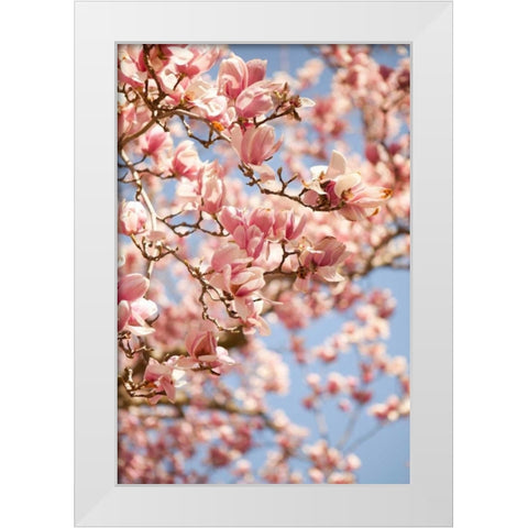 In Bloom III White Modern Wood Framed Art Print by Millet, Karyn