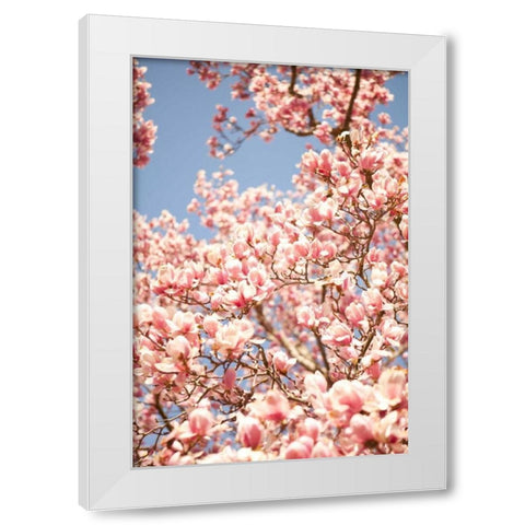 In Bloom IV White Modern Wood Framed Art Print by Millet, Karyn