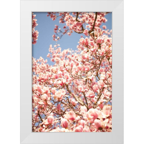 In Bloom IV White Modern Wood Framed Art Print by Millet, Karyn