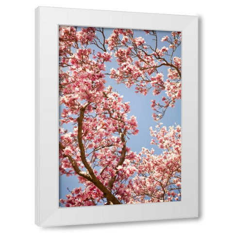 In Bloom V White Modern Wood Framed Art Print by Millet, Karyn