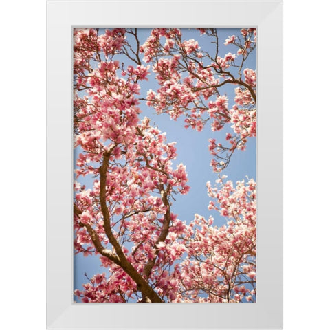 In Bloom V White Modern Wood Framed Art Print by Millet, Karyn