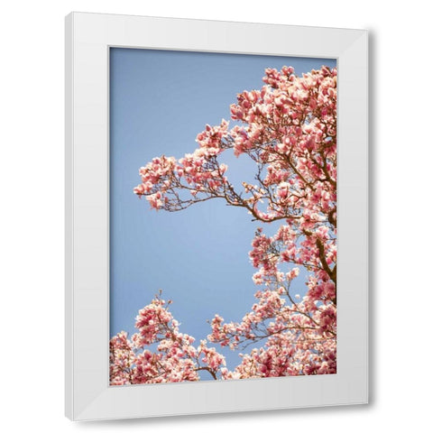 In Bloom VI White Modern Wood Framed Art Print by Millet, Karyn