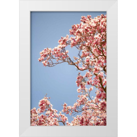 In Bloom VI White Modern Wood Framed Art Print by Millet, Karyn