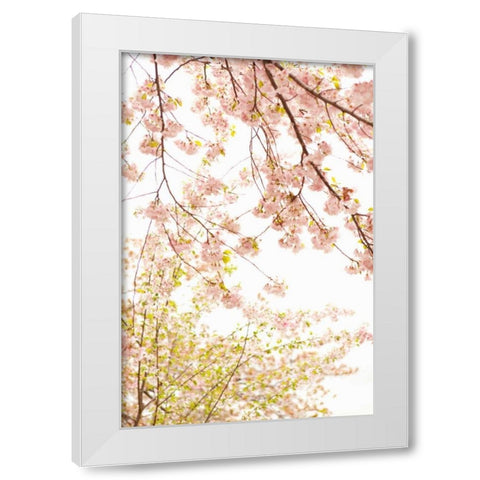 In Bloom XIX White Modern Wood Framed Art Print by Millet, Karyn