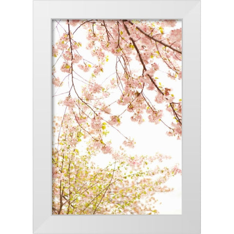 In Bloom XIX White Modern Wood Framed Art Print by Millet, Karyn