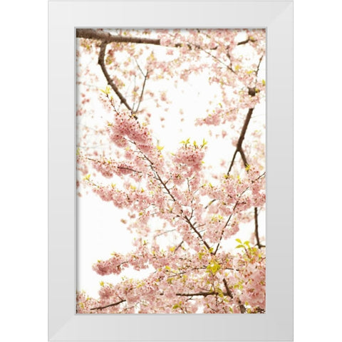 In Bloom XXI White Modern Wood Framed Art Print by Millet, Karyn
