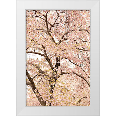 In Bloom XXII White Modern Wood Framed Art Print by Millet, Karyn
